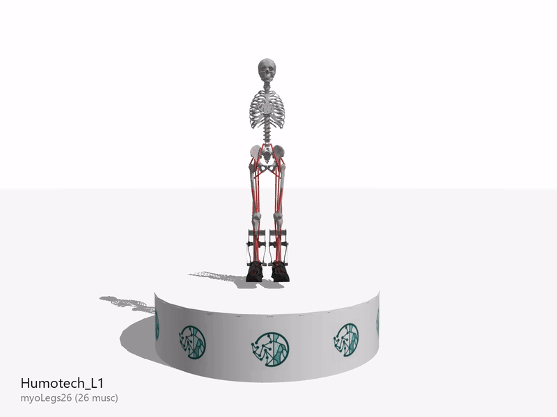 Lower-limb assistive devices composed on the model