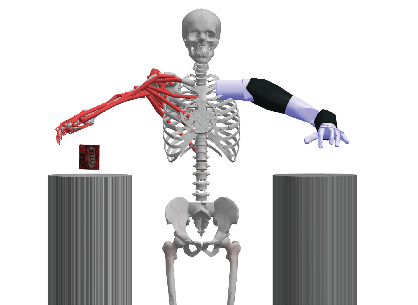 MPL bimanual robot