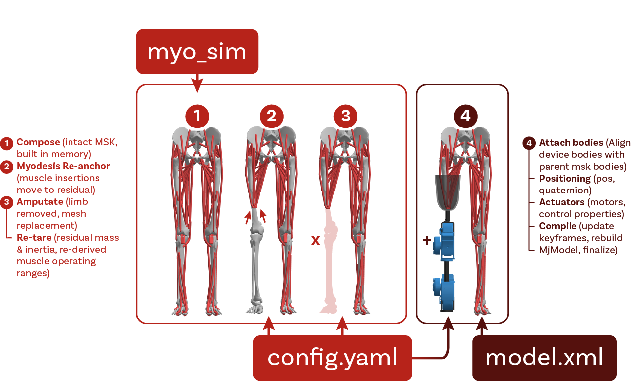 Prosthetic amputation composition pipeline