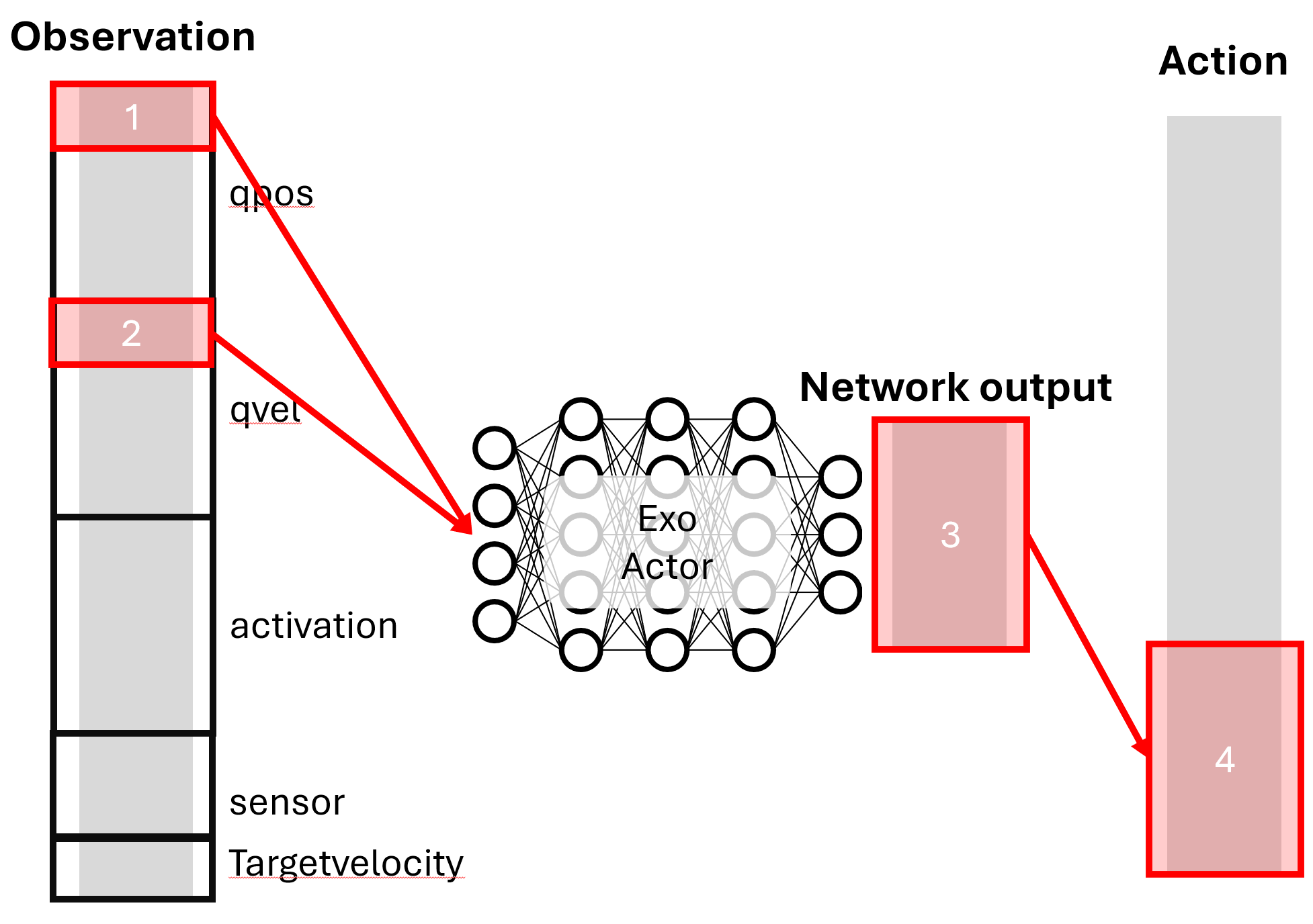 Exoskeleton network indexing example