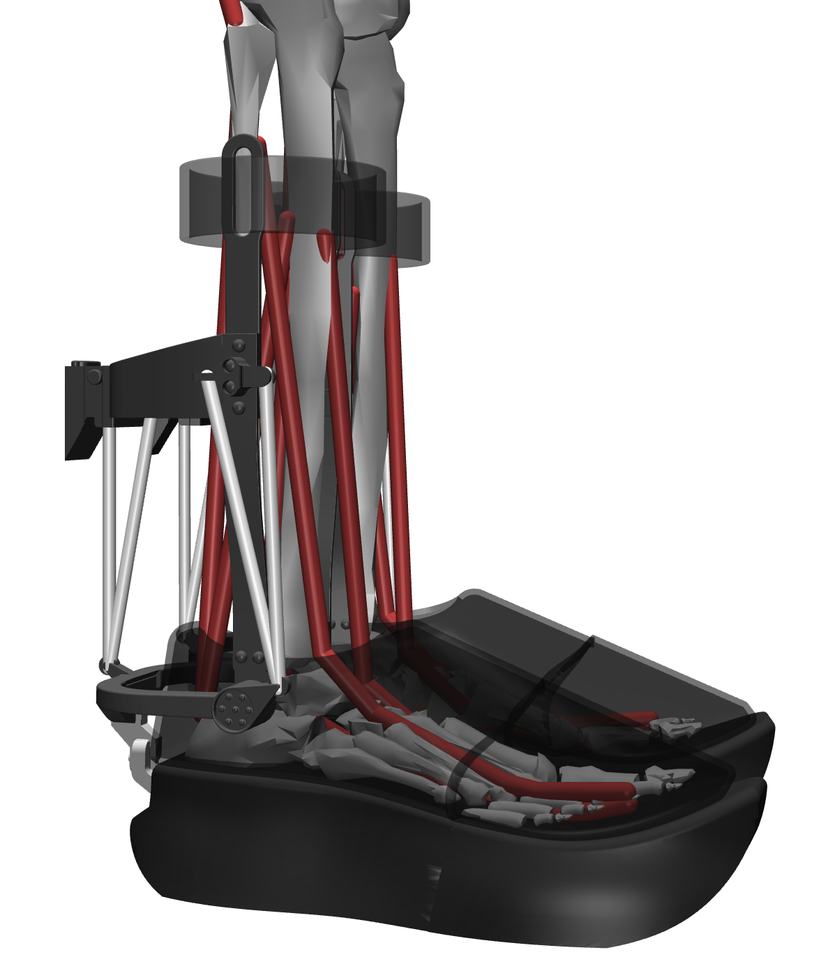 HUMOTECH Detail