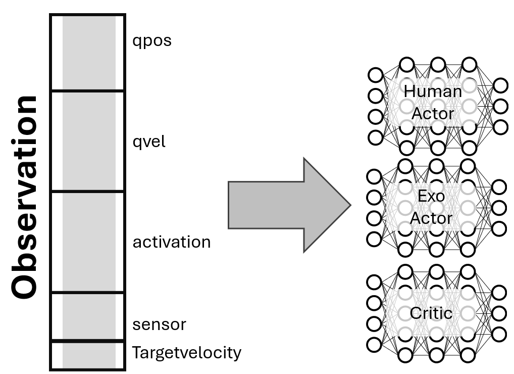 Multiple Actor Structure